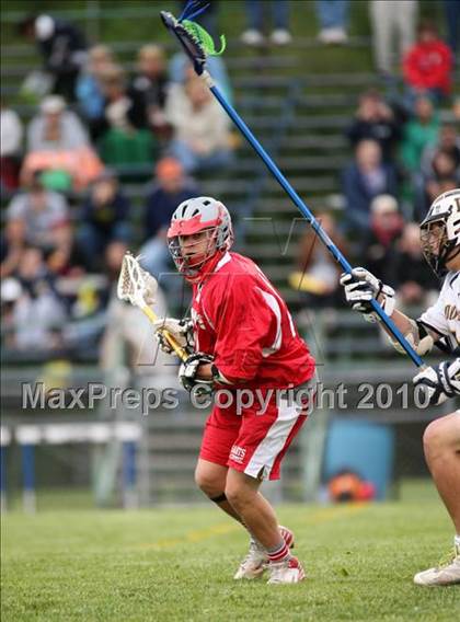 Thumbnail 2 in St. Bernard @ Ledyard photogallery.