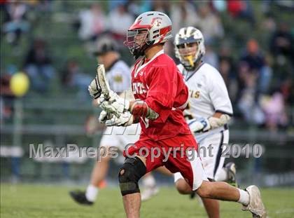 Thumbnail 3 in St. Bernard @ Ledyard photogallery.