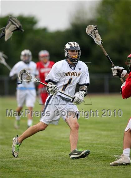Thumbnail 3 in St. Bernard @ Ledyard photogallery.