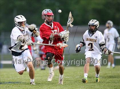 Thumbnail 2 in St. Bernard @ Ledyard photogallery.
