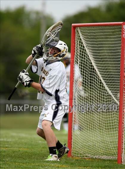 Thumbnail 3 in St. Bernard @ Ledyard photogallery.