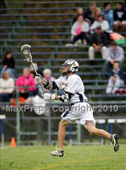 Thumbnail 2 in St. Bernard @ Ledyard photogallery.
