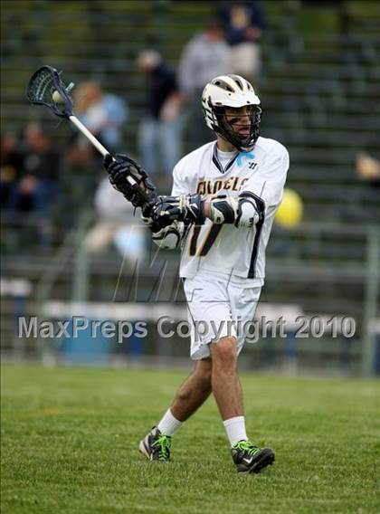 Thumbnail 1 in St. Bernard @ Ledyard photogallery.