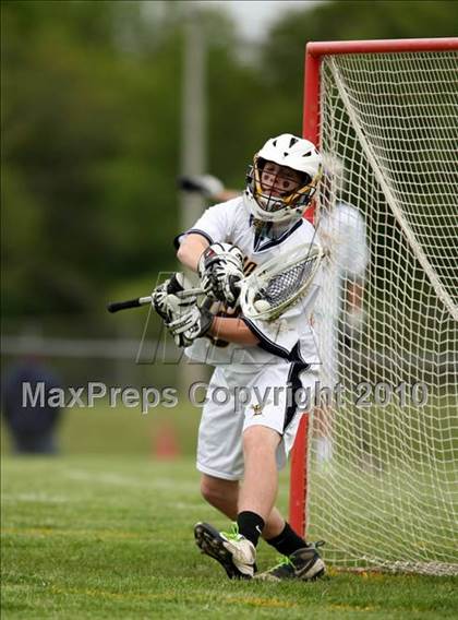 Thumbnail 2 in St. Bernard @ Ledyard photogallery.