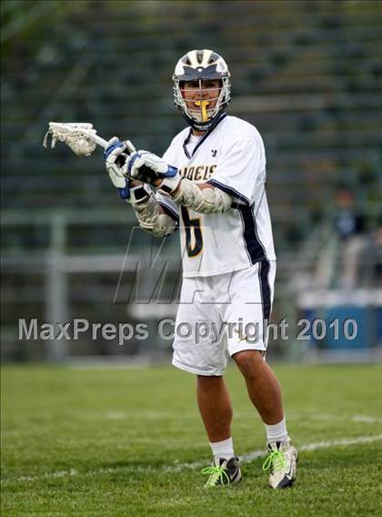 Thumbnail 1 in St. Bernard @ Ledyard photogallery.