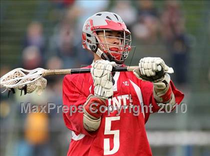Thumbnail 1 in St. Bernard @ Ledyard photogallery.