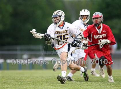 Thumbnail 1 in St. Bernard @ Ledyard photogallery.