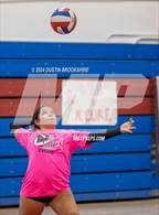 Photo from the gallery "Ygnacio Valley @ Clayton Valley Charter"