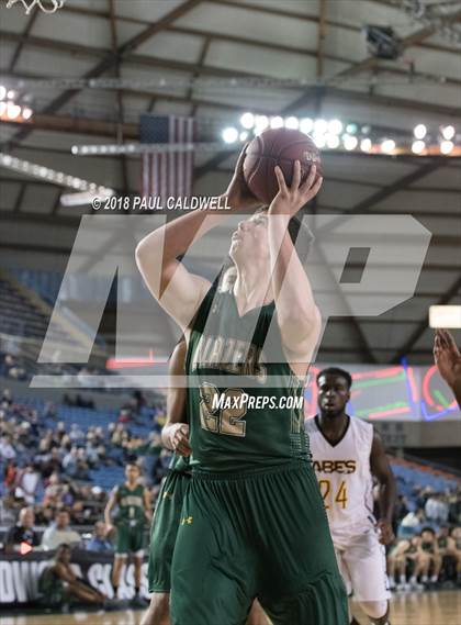 Thumbnail 3 in Timberline vs. Lincoln (WIAA 3A Quarterfinal)  photogallery.