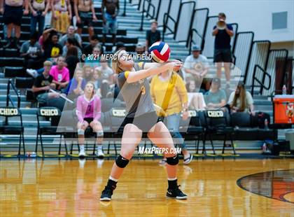 Thumbnail 2 in Jacksboro @ Chico photogallery.