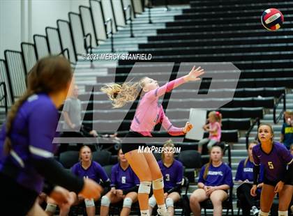 Thumbnail 2 in Jacksboro @ Chico photogallery.