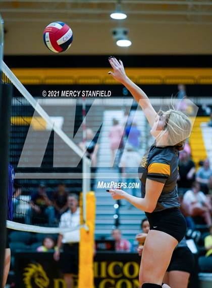 Thumbnail 2 in Jacksboro @ Chico photogallery.
