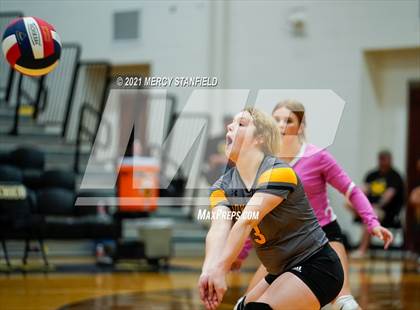 Thumbnail 2 in Jacksboro @ Chico photogallery.