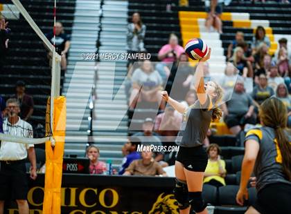 Thumbnail 1 in Jacksboro @ Chico photogallery.