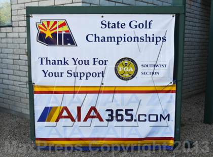 Thumbnail 2 in AIA Division 1 Boys Golf Championships photogallery.