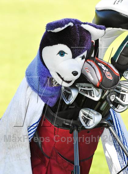 Thumbnail 2 in AIA Division 1 Boys Golf Championships photogallery.
