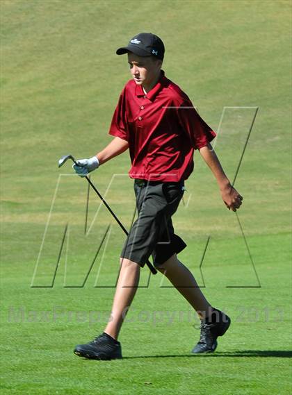 Thumbnail 2 in AIA Division 1 Boys Golf Championships photogallery.