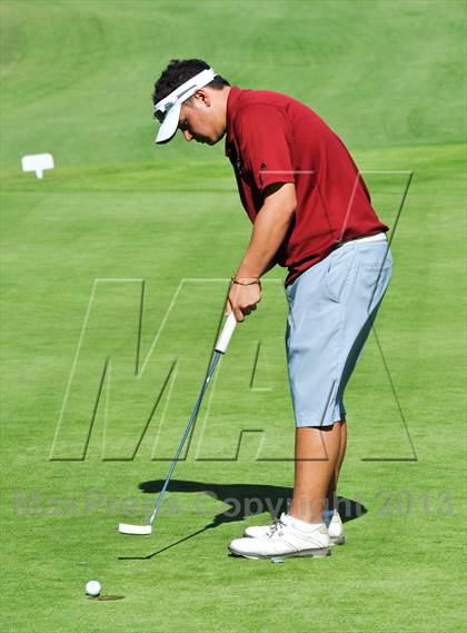 Thumbnail 2 in AIA Division 1 Boys Golf Championships photogallery.