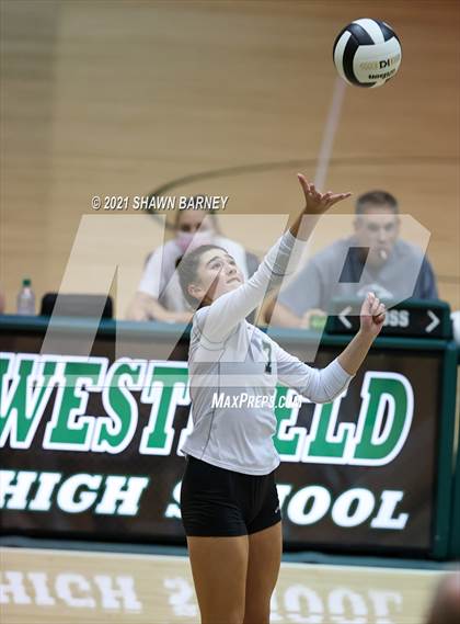 Thumbnail 1 in New Castle @ Westfield photogallery.