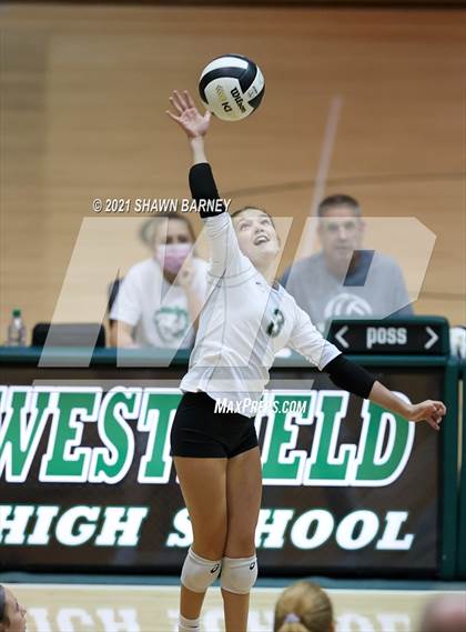 Thumbnail 3 in New Castle @ Westfield photogallery.