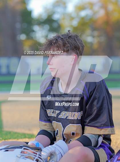 Thumbnail 2 in Holly Springs @ Pinecrest photogallery.