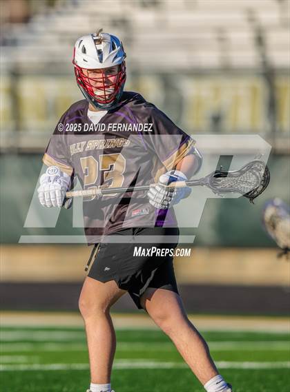 Thumbnail 1 in Holly Springs @ Pinecrest photogallery.