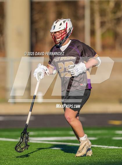 Thumbnail 3 in Holly Springs @ Pinecrest photogallery.