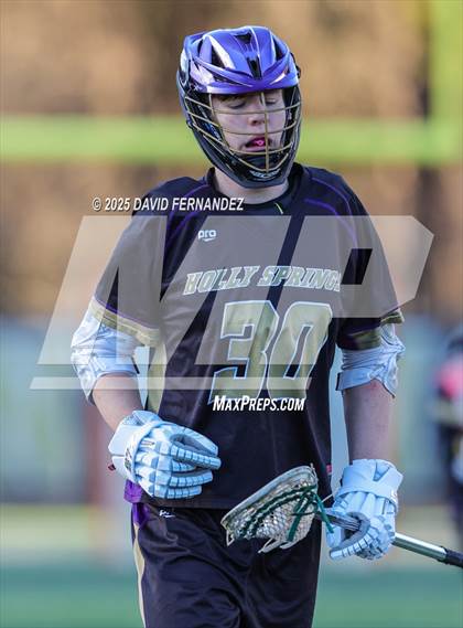 Thumbnail 3 in Holly Springs @ Pinecrest photogallery.