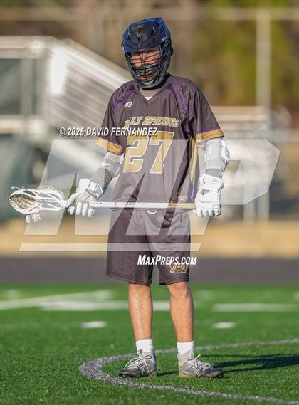 Thumbnail 1 in Holly Springs @ Pinecrest photogallery.