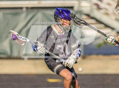 Thumbnail 3 in Holly Springs @ Pinecrest photogallery.