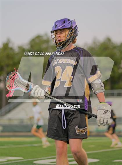 Thumbnail 1 in Holly Springs @ Pinecrest photogallery.