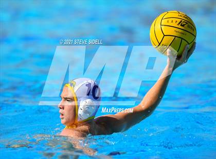 Thumbnail 3 in Grossmont @ La Jolla photogallery.