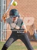 Photo from the gallery "McIntosh @ Dutchtown"