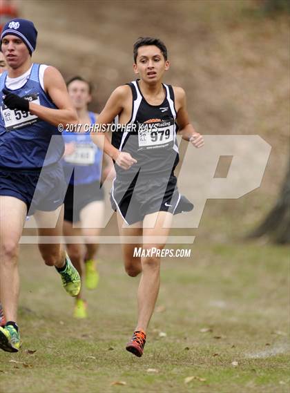 Thumbnail 3 in IHSA 1A Boys Cross Country Sectional (Benton) photogallery.