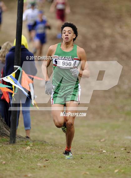 Thumbnail 3 in IHSA 1A Boys Cross Country Sectional (Benton) photogallery.