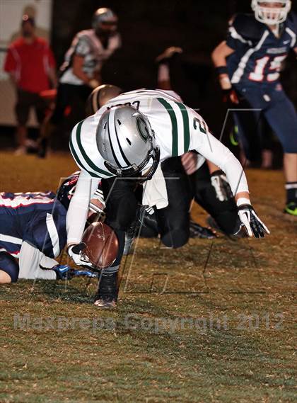 Thumbnail 1 in Carter @ South-Doyle photogallery.