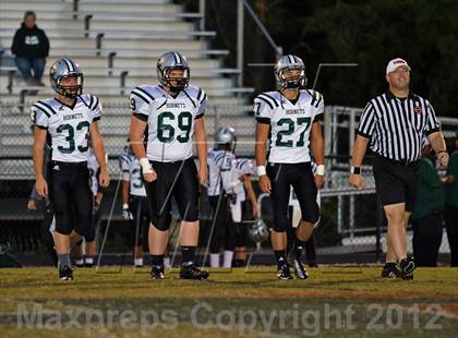 Thumbnail 1 in Carter @ South-Doyle photogallery.