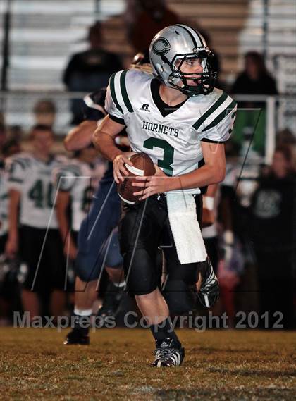 Thumbnail 2 in Carter @ South-Doyle photogallery.