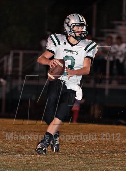 Thumbnail 2 in Carter @ South-Doyle photogallery.