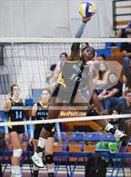 Photo from the gallery "Highland @ Quartz Hill"