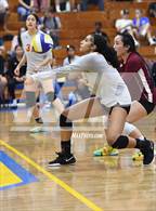 Photo from the gallery "Highland @ Quartz Hill"