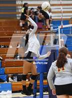 Photo from the gallery "Highland @ Quartz Hill"