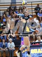 Photo from the gallery "Highland @ Quartz Hill"