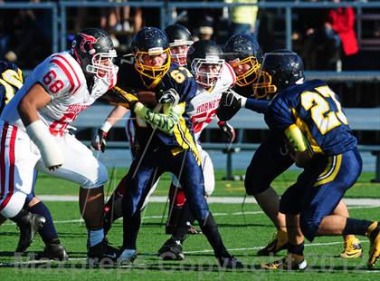 Thumbnail 3 in Branford @ East Haven photogallery.