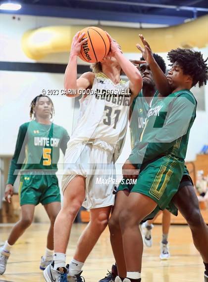 Thumbnail 1 in White Oak @ Croatan photogallery.