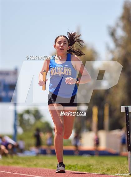Thumbnail 3 in Southern League Meet photogallery.