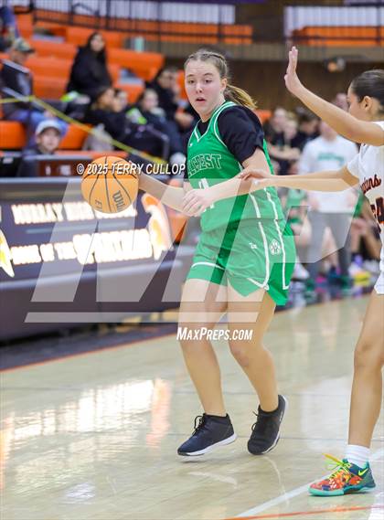 Thumbnail 3 in JV: Hillcrest @ Murray photogallery.