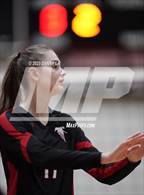 Photo from the gallery "Chantilly @ James Madison"