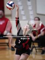 Photo from the gallery "Chantilly @ James Madison"