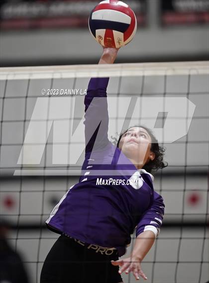 Thumbnail 3 in Chantilly @ James Madison photogallery.